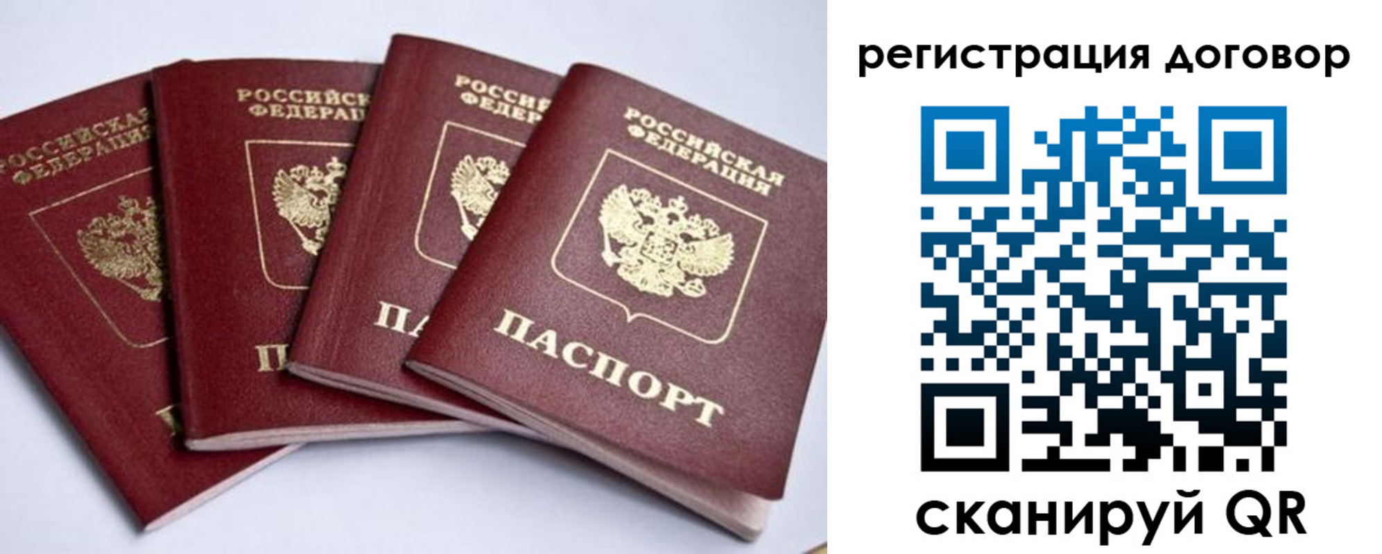 прописка поиск в Покрове