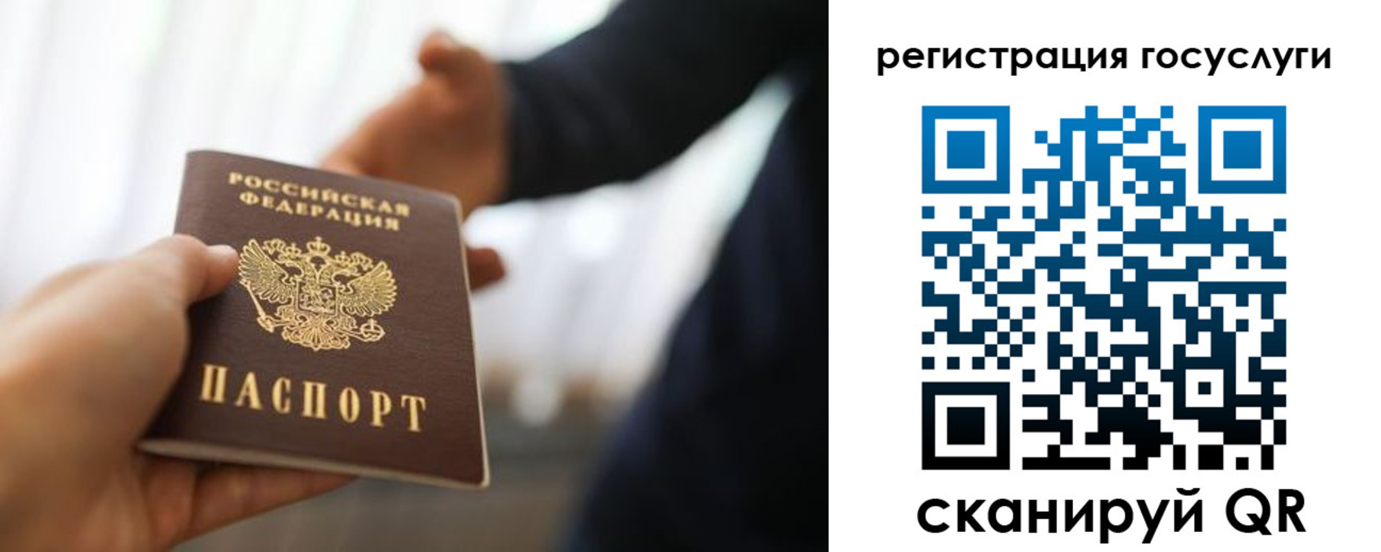 прописка в Покрове